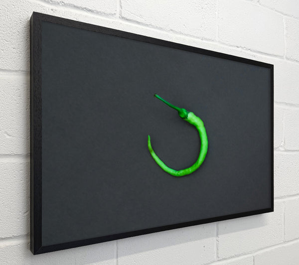 Green Pepper Loop