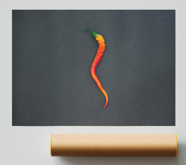 Orange Chili Curve Poster