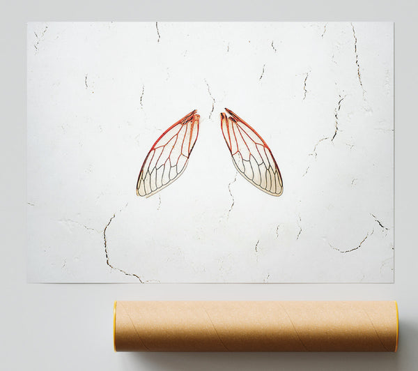 Crimson Cicada Wings Poster