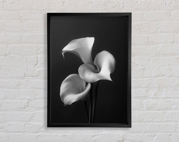 Special White Lillies Framed Print