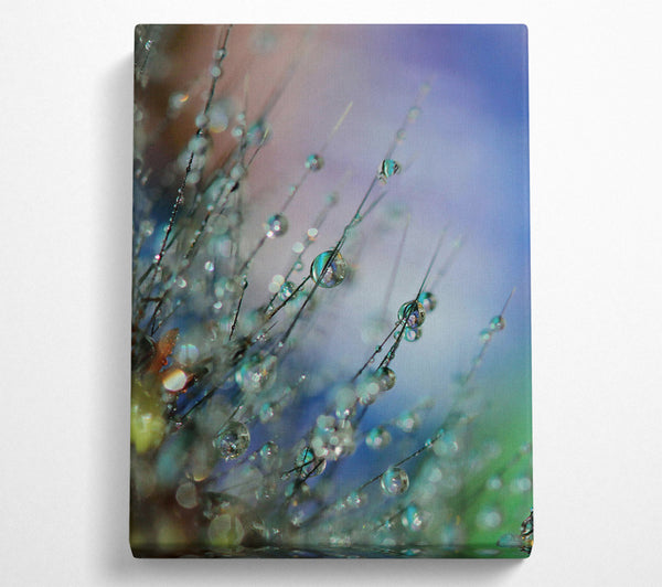  A Canvas Print of Aqua Dew Drops Canvas Wall Art