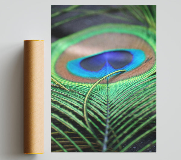 Emerald Peacock Eye Poster