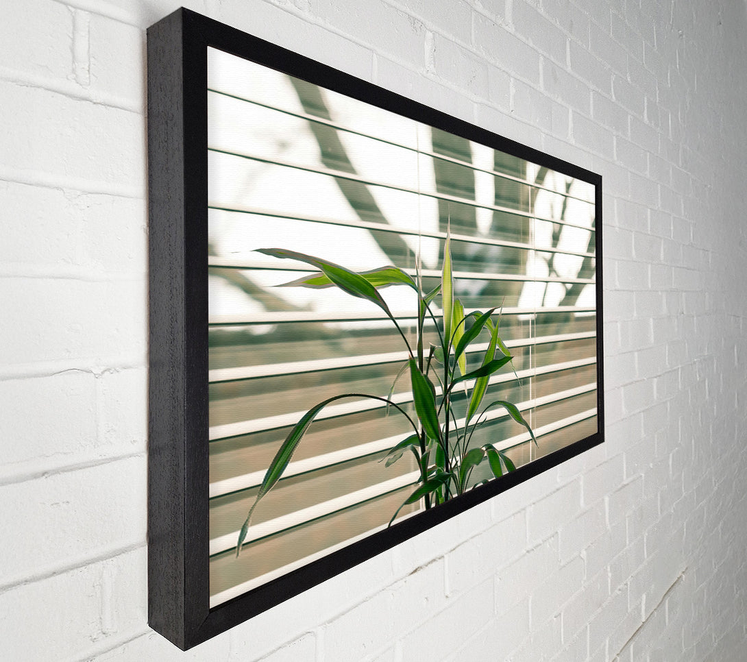  A Canvas Print of Green Through The Blinds Canvas Print
