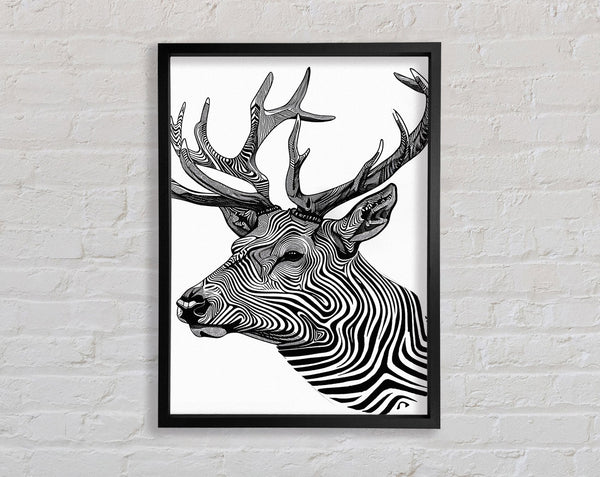 Stag Zebra Stripes Framed Print