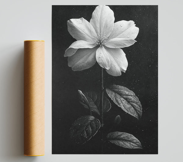 Starflower Bloom Print