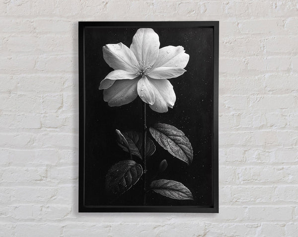Starflower Bloom Framed Print