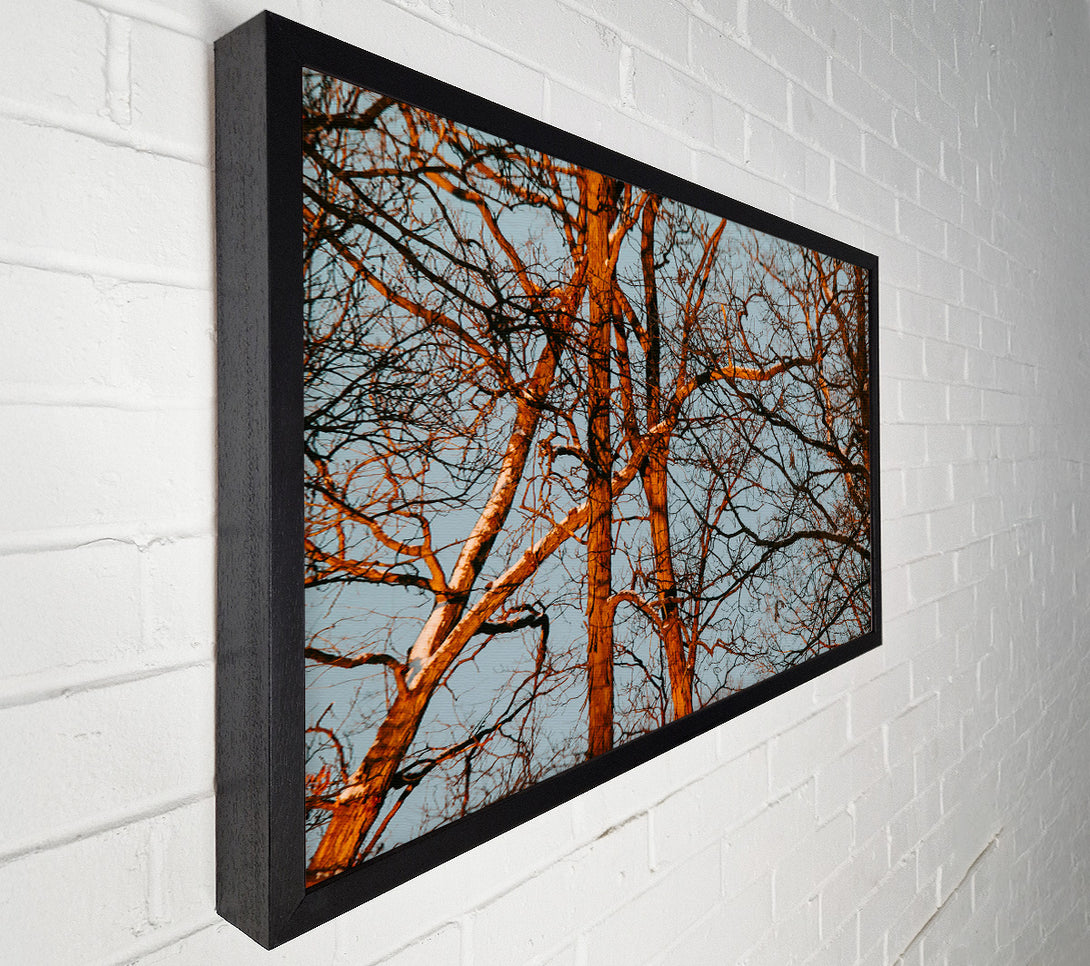  A Canvas Print of Orange Tree Silhouette Canvas Wall Art