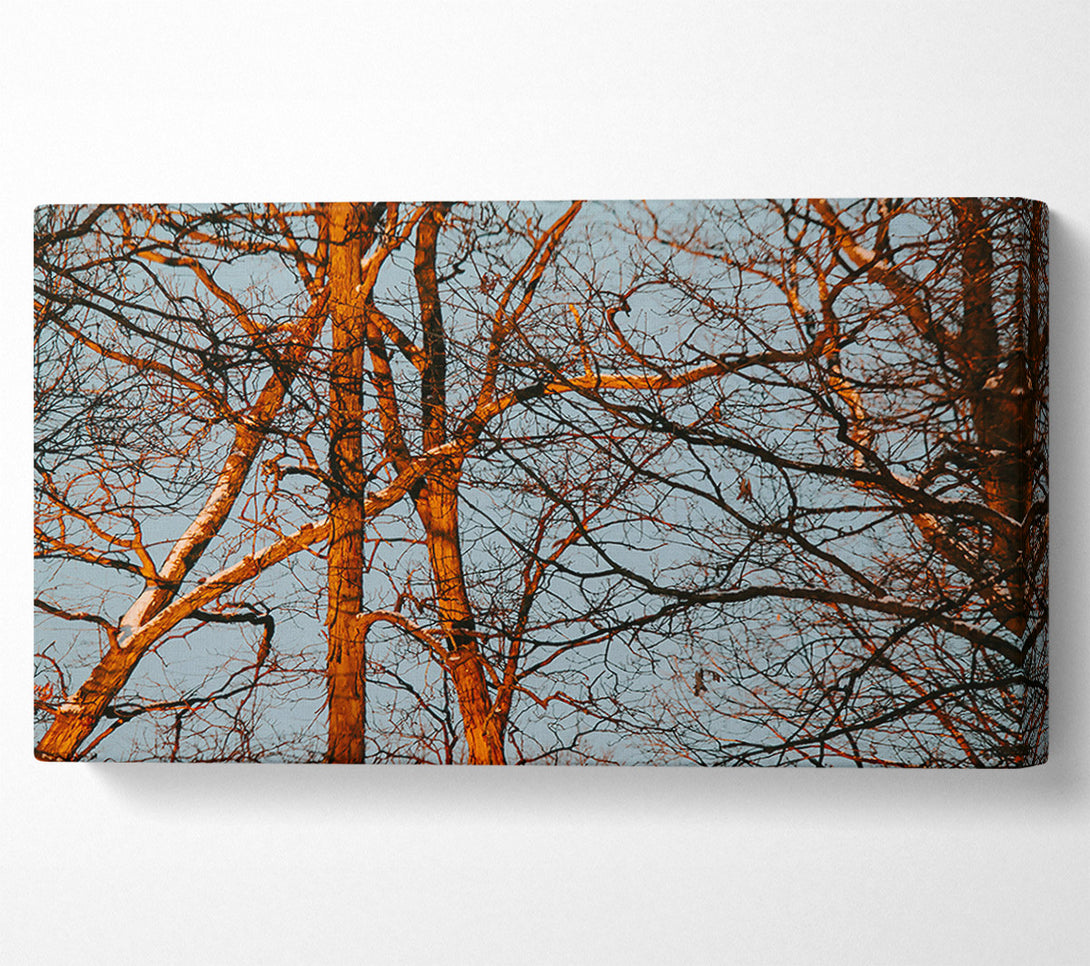  A Canvas Print of Orange Tree Silhouette Canvas Wall Art