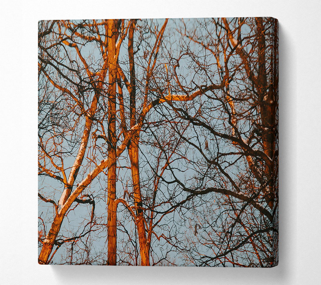  A Canvas Print of Orange Tree Silhouette Canvas Wall Art