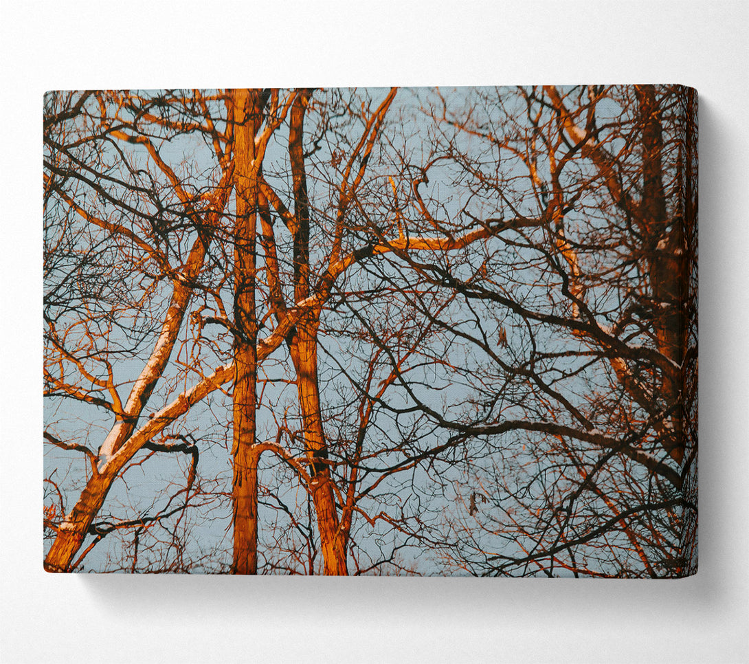  A Canvas Print of Orange Tree Silhouette Canvas Wall Art