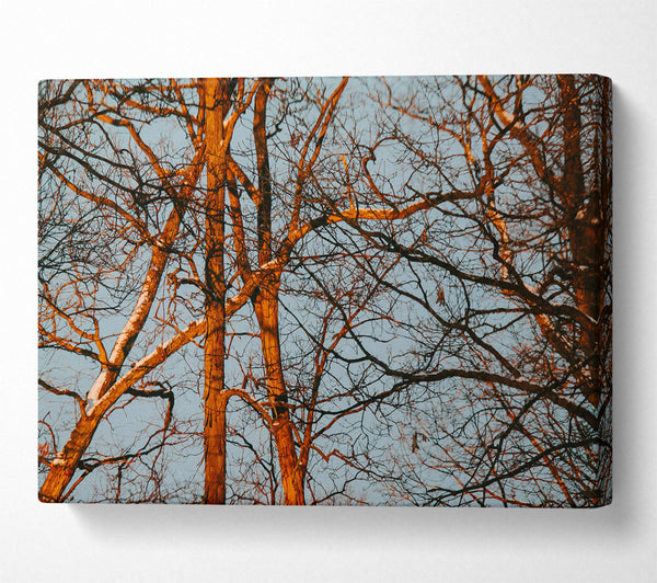  A Canvas Print of Orange Tree Silhouette Canvas Wall Art
