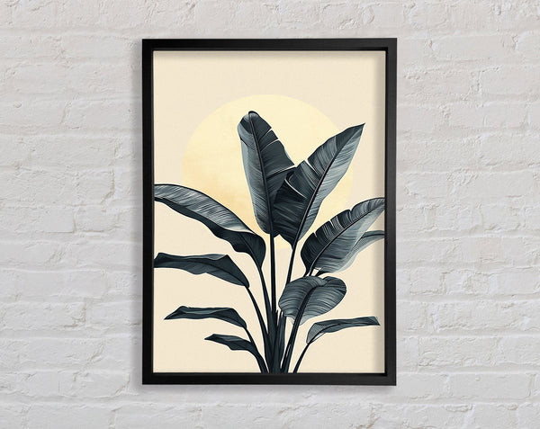 Sun Above The Palm Framed Print