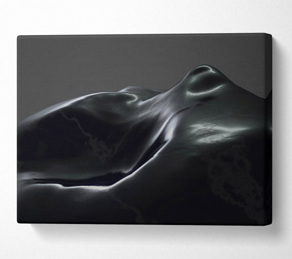  A Canvas Print of Black Liquid Form Canvas Wall Art