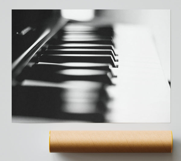 Black And White Keys Giclee Print