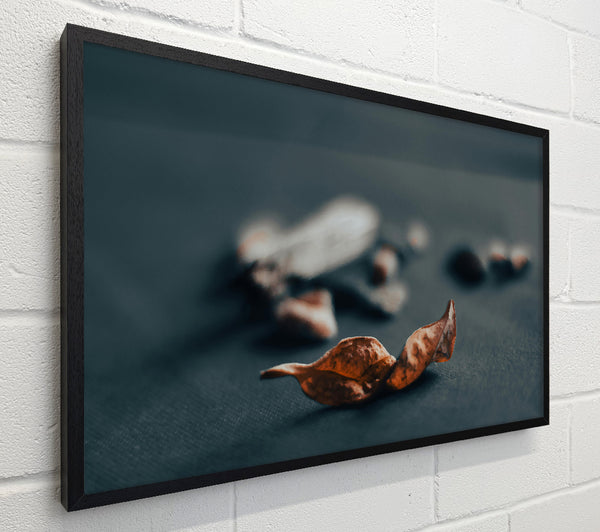 Rust-Colored Leaf Fall