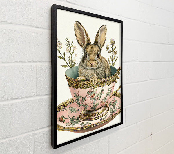 Tea Cup Rabbit