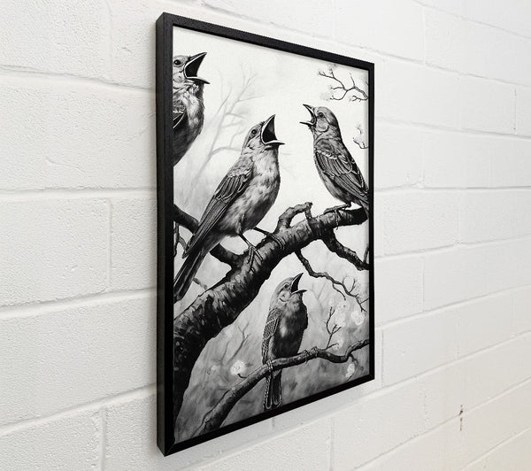 The Birds In Black And White