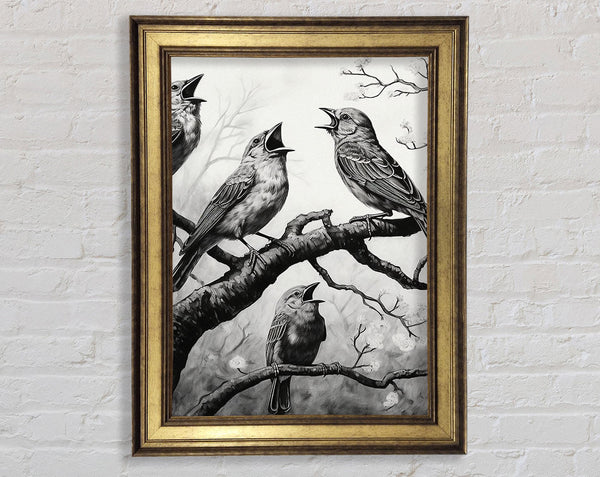 The Birds In White And White Framed Print