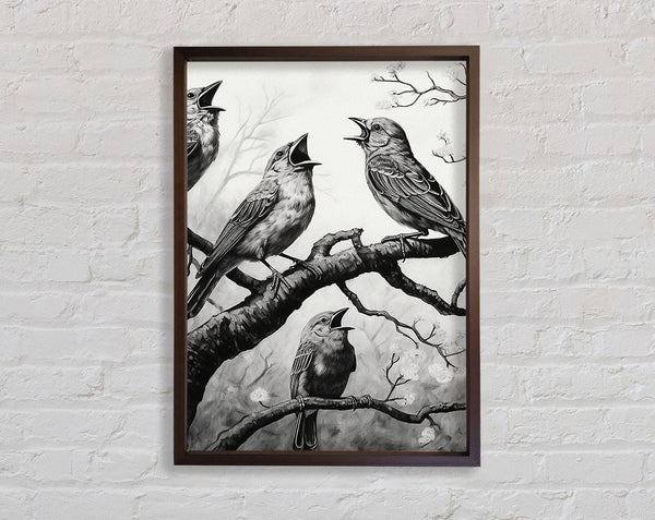 The Birds In Walnut And Walnut Framed Print
