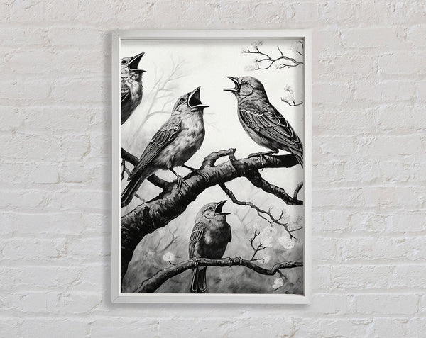 The Birds In White And White Framed Print
