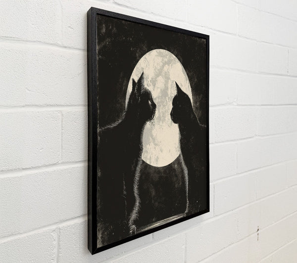 The Black Cat Moon