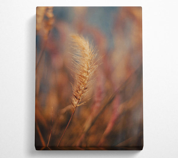  A Canvas Print of Golden Whispers Of Fall Canvas Print