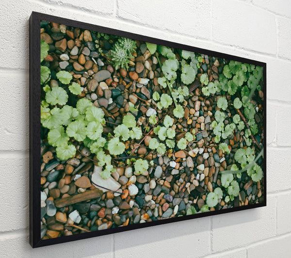 Green Pebbled Ground