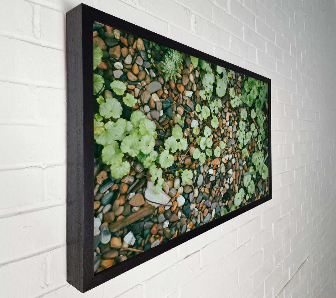  A Canvas Print of Green Pebbled Ground Canvas Wall Art