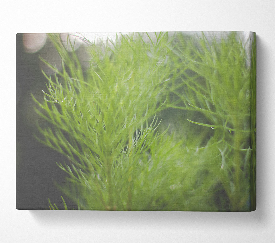  A Canvas Print of Emerald Green Tendrils Canvas Print