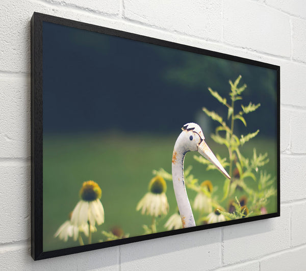 White Crane In Bloom