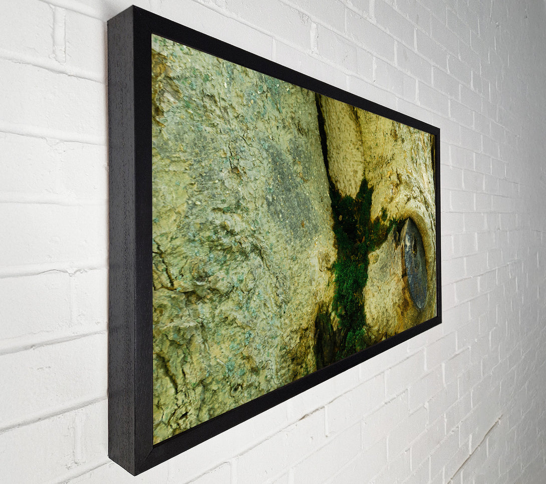  A Canvas Print of Green Tree Embrace Canvas Art