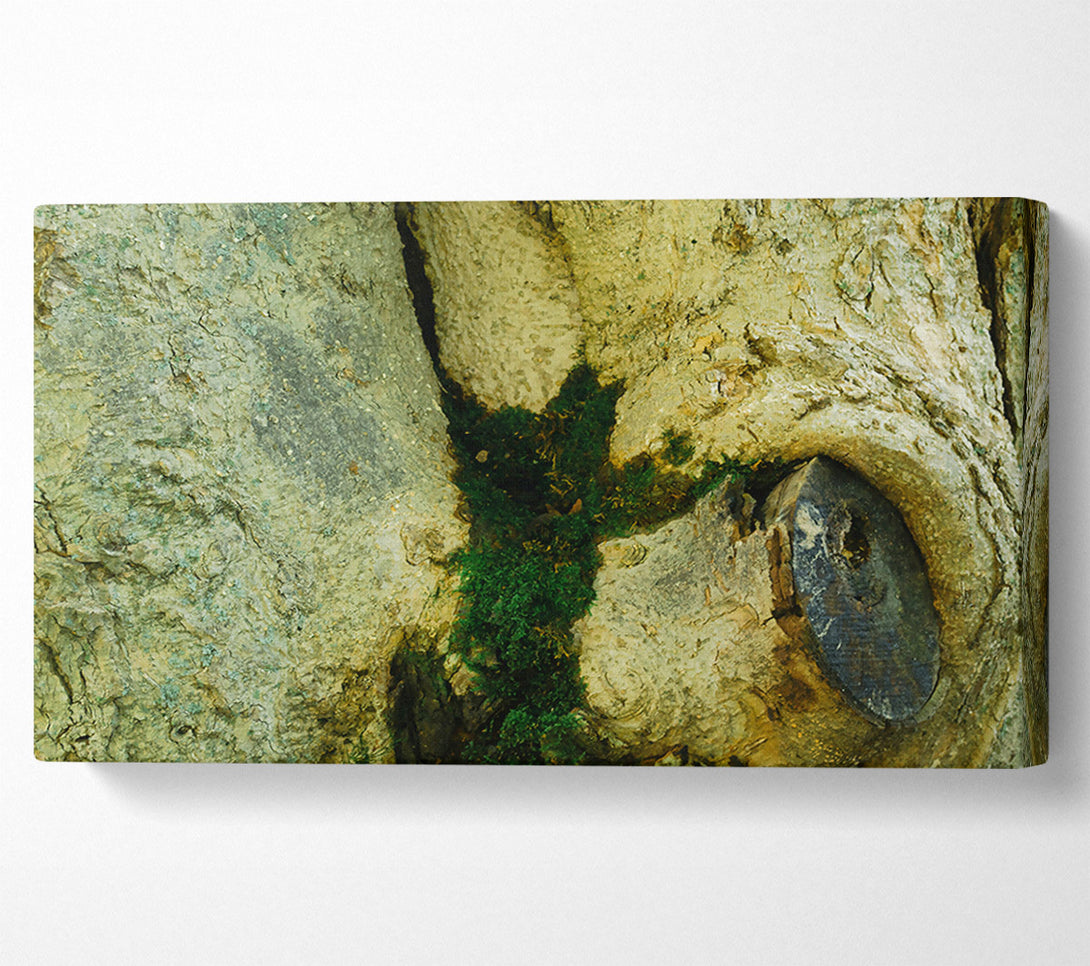 A Canvas Print of Green Tree Embrace Canvas Art