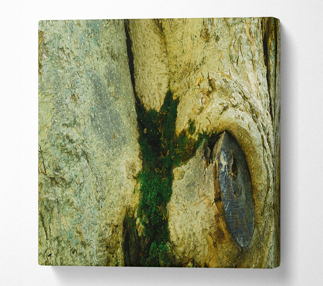  A Canvas Print of Green Tree Embrace Canvas Art