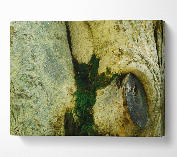  A Canvas Print of Green Tree Embrace Canvas Art