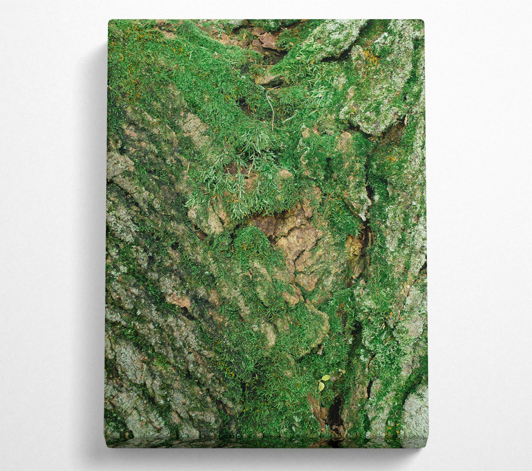  A Canvas Print of Emerald Bark Texture Canvas Wall Art