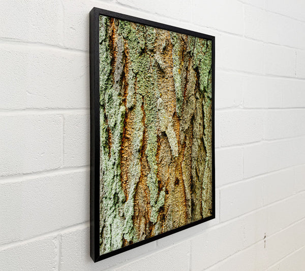 Green Weathered Bark