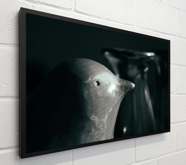 Silver Bird In Shadow