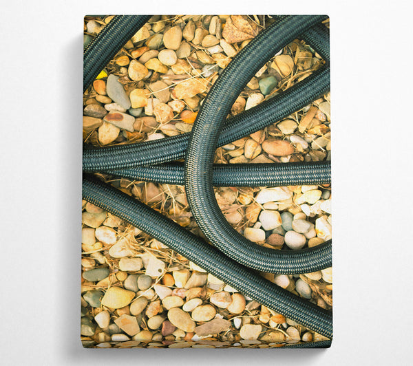  A Canvas Print of Black Coiled Lines On Stone Canvas Print
