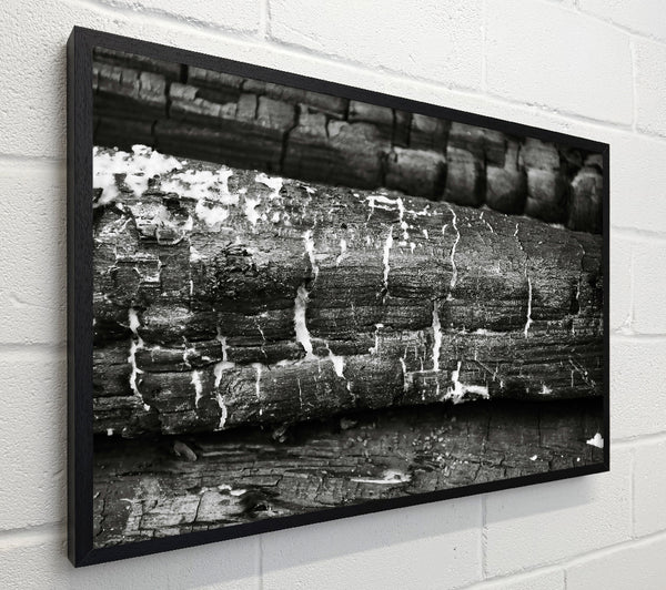 Charred Black Lines