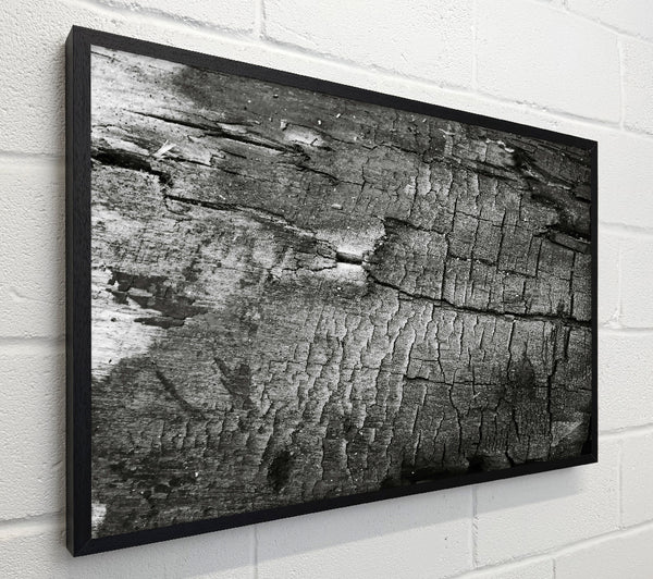 Charred Black Bark