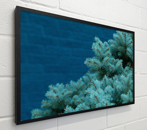 Teal Pine Branches