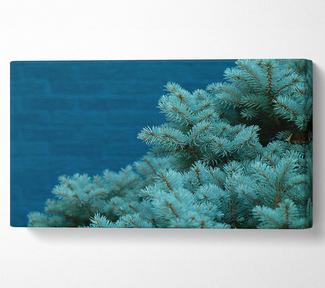  A Canvas Print of Teal Pine Branches Canvas Art