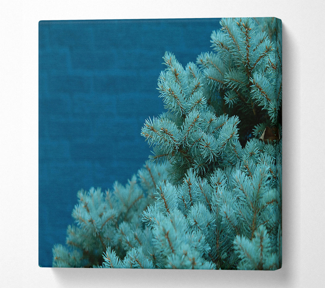  A Canvas Print of Teal Pine Branches Canvas Art