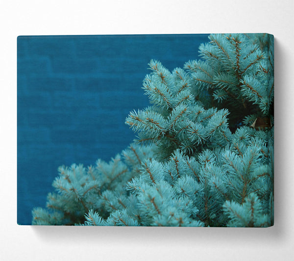  A Canvas Print of Teal Pine Branches Canvas Art