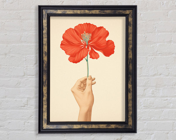 The Orange Simple Flower Hand Framed Print