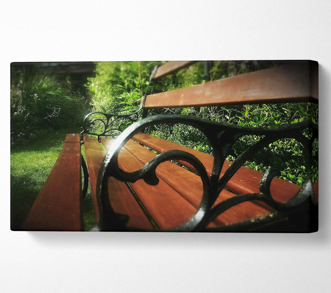  A Canvas Print of Sunlit Mahogany Bench Canvas Art