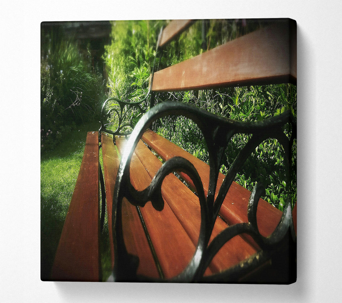  A Canvas Print of Sunlit Mahogany Bench Canvas Art