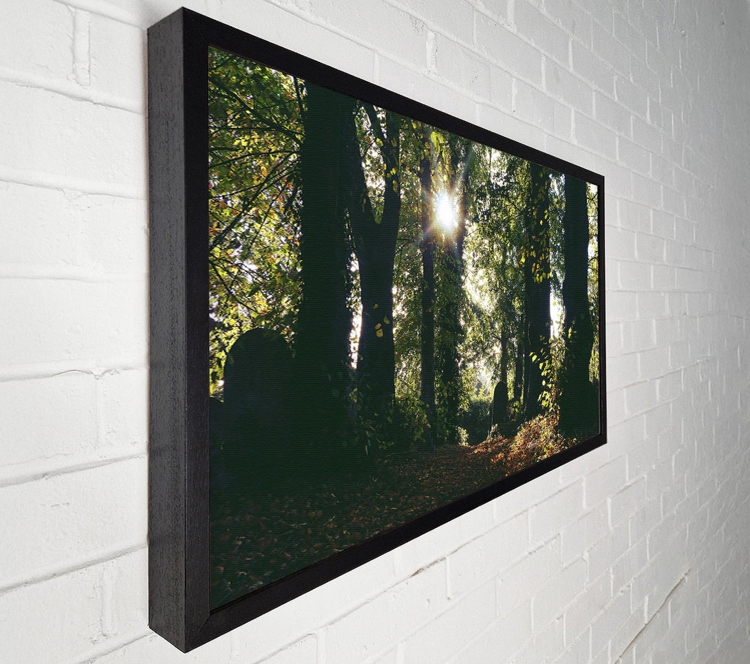  A Canvas Print of Golden Sun Through Trees Canvas Wall Art