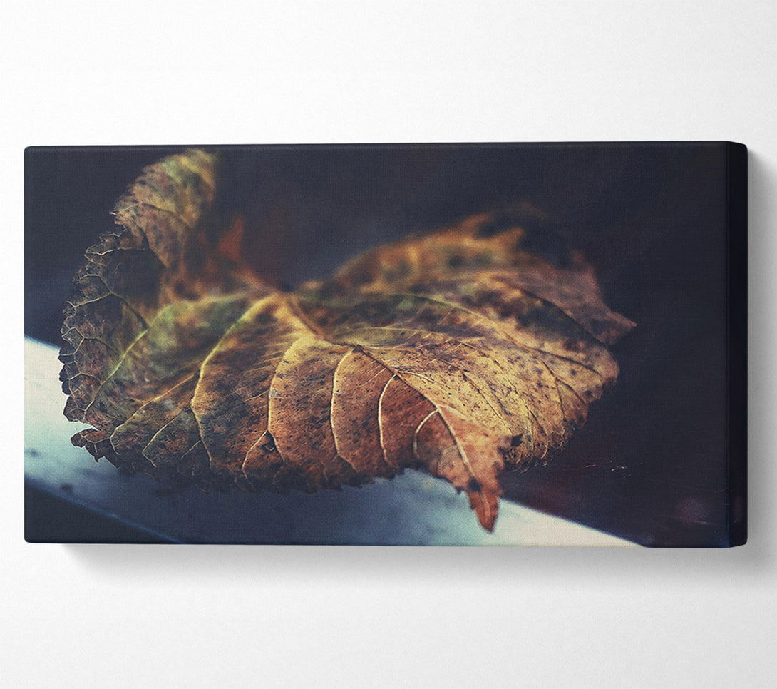  A Canvas Print of Brown Leaf Reflection Canvas Wall Art