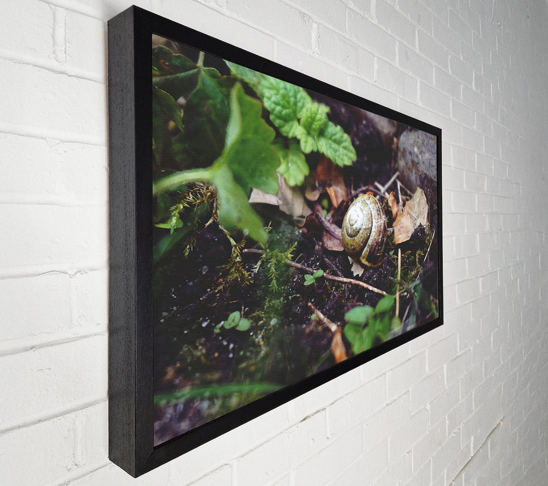  A Canvas Print of Green Shell Retreat Canvas Art